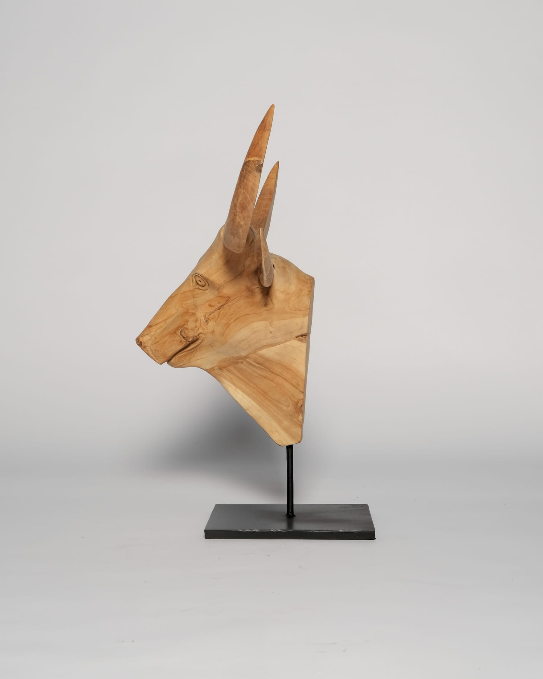 Animal Head Sculpture